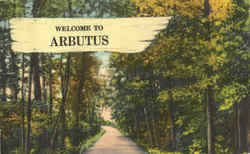 Welcome To Arbutus Maryland Postcard Postcard
