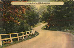Greetings From La Cygne Postcard