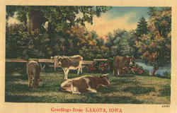 Greetings From Lakota Postcard