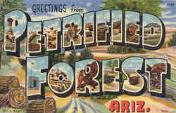 Greetings From Petrified Forest Petrified Forest National Park, AZ Postcard Postcard
