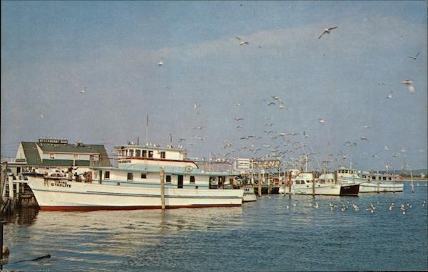 Fishing and Party Boats Montauk, NY Postcard