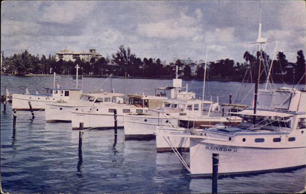 Boats at Municipal Dock Sarasota Florida