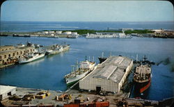 Air View of the Wharfs Veracruz, Mexico Postcard Postcard Postcard