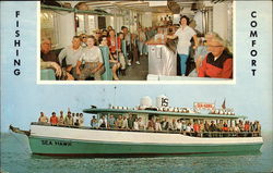The Sea Hawk Postcard
