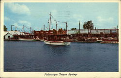 Picturesque Tarpon Springs Florida Postcard Postcard Postcard