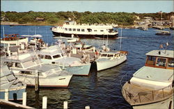 Water View of Falmouth Harbor Cape Cod, MA Postcard Postcard Postcard