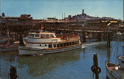 Gold Coast Cruises Postcard