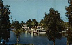 Picturesque Torry Island on the Okeechobee Canal Florida Postcard Postcard Postcard