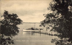 Through the Trees from Dering Harbor Shelter Island Heights, NY Postcard Postcard Postcard