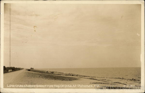 Lake Okeechobee from Top of Dike at Pahokee, Fla. Florida