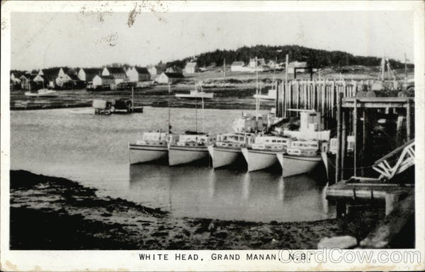 White Head Grand Manan NB Canada New Brunswick