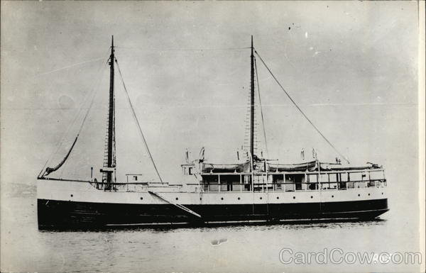 Steamer Anvil Steamers