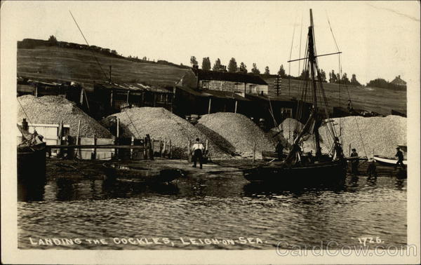 Landing the Cockles Leigh-on-Sea England