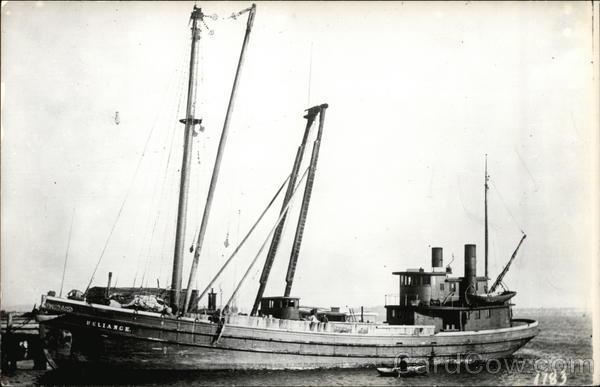 Steamer Rehanie Steamers