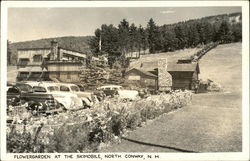 Flowergarden at the Skimobile Postcard