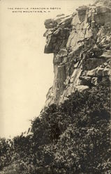 The Profile Franconia Notch White Mountains, NH Postcard Postcard Postcard