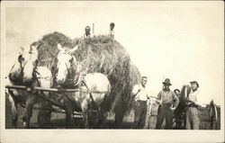 Harvesting Hay Farming Postcard Postcard 