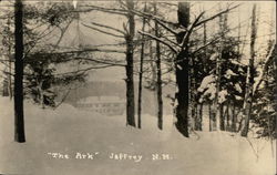 Snow View of "The Ark" Postcard