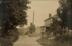 Road by "The Maples" Postcard