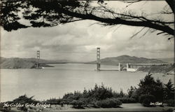 Golden Gate Bridge Postcard