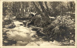 Stock #482258 Thumbnail