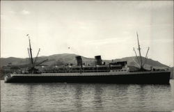 Steamer "Rangatira" Steamers Postcard Postcard Postcard