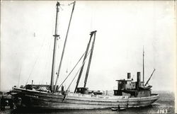Steamer "Rehanie" Postcard