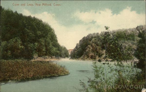 Cove and Leap New Milford Connecticut