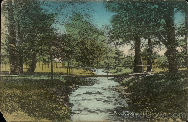 Brook Scene Salisbury Connecticut