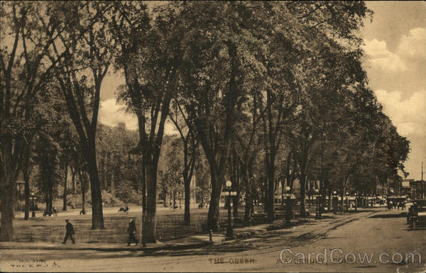 View of The Green Waterbury Connecticut