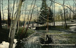 Scene near Entrance to Hubbard Park Postcard