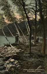 Shore at Lake Quassapaug Postcard