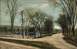Scene at Riverside Drive Postcard