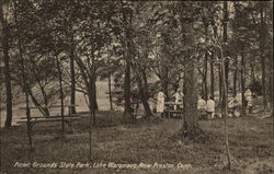 Picnic Grounds, State Park, Lake Waramaug Postcard