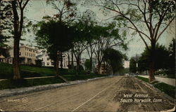 Looking Along West Avenue South Norwalk, CT Postcard Postcard Postcard