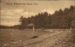 Scene in Wildwood Park Postcard