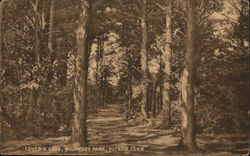 Lover's Lane, Wildwood Park Postcard