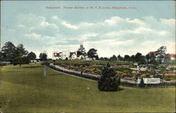 Flower Garden of Mr. F.E. Lewis, Upagansit Ridgefield, CT Postcard Postcard Postcard