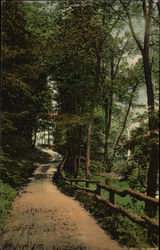 In the Glen Sandy Hook, CT Postcard Postcard Postcard