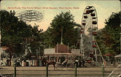 Savin Rock, The Ferris Wheel (West Haven) New Haven, CT Postcard Postcard Postcard