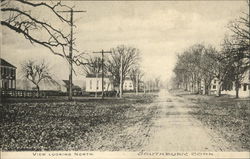 View looking North Postcard