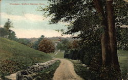 Scene at Woodlawn Postcard