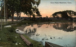 Cove Pond View Postcard