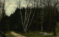 Looking Along Country Road Stamford, CT Postcard Postcard Postcard