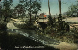 View of Country Road Postcard