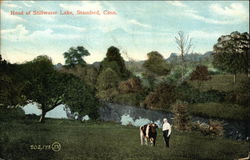 Head of Stillwater Lake Stamford, CT Postcard Postcard Postcard