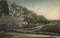 The Phelps Cottage Storrs, CT Postcard Postcard Postcard