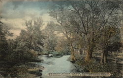 Fenton River near Connecticut Agricultural College Storrs, CT Postcard Postcard Postcard