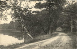 View of Lake and Road Postcard