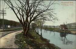 Naugatack River Naugatack River